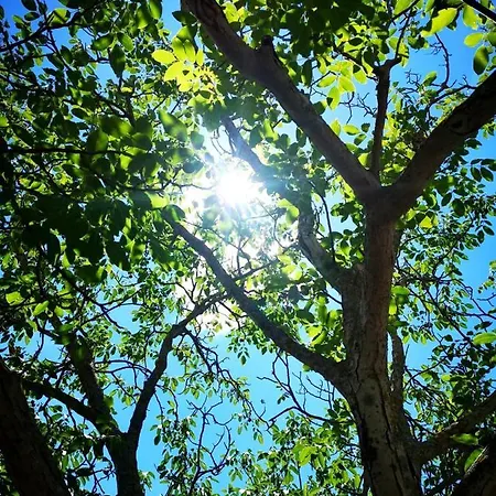 Jaga Hébergement de vacances Biograd Na Moru